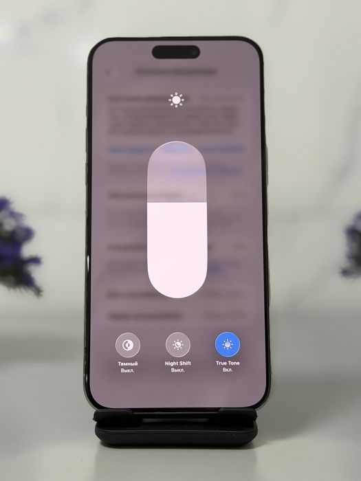iPhone 15 Pro Max, 256 GB