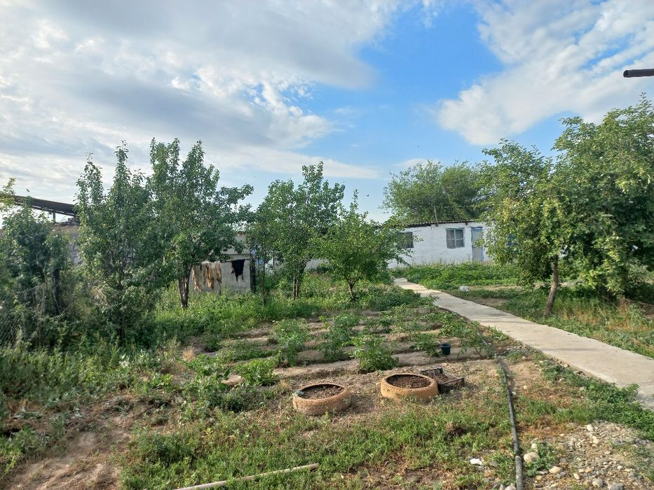 Үй сатылады Мойнақ ауылы