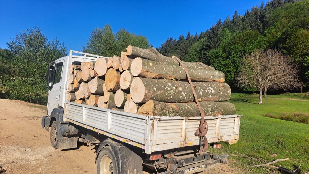 Lemn de foc la domiciliu