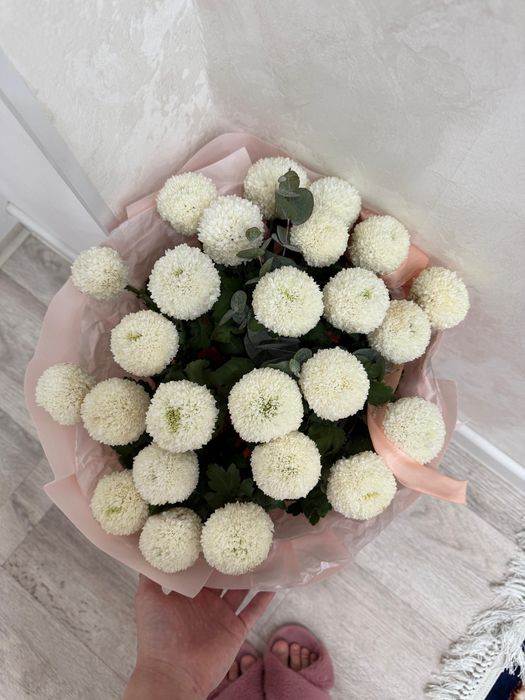 Цветы гул актауда