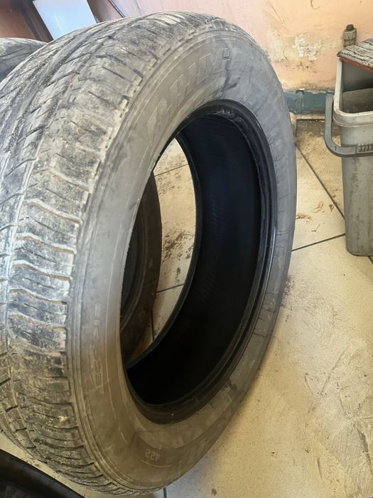 Продам ризина летный