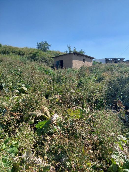 Uchastka yer maydoni dacha un ajoyib joy