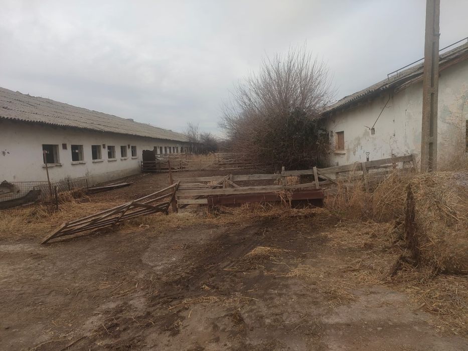 Vand ferma cu 2 grajduri (65 x 13)  fiecare. Suprafață totală 4500m2.