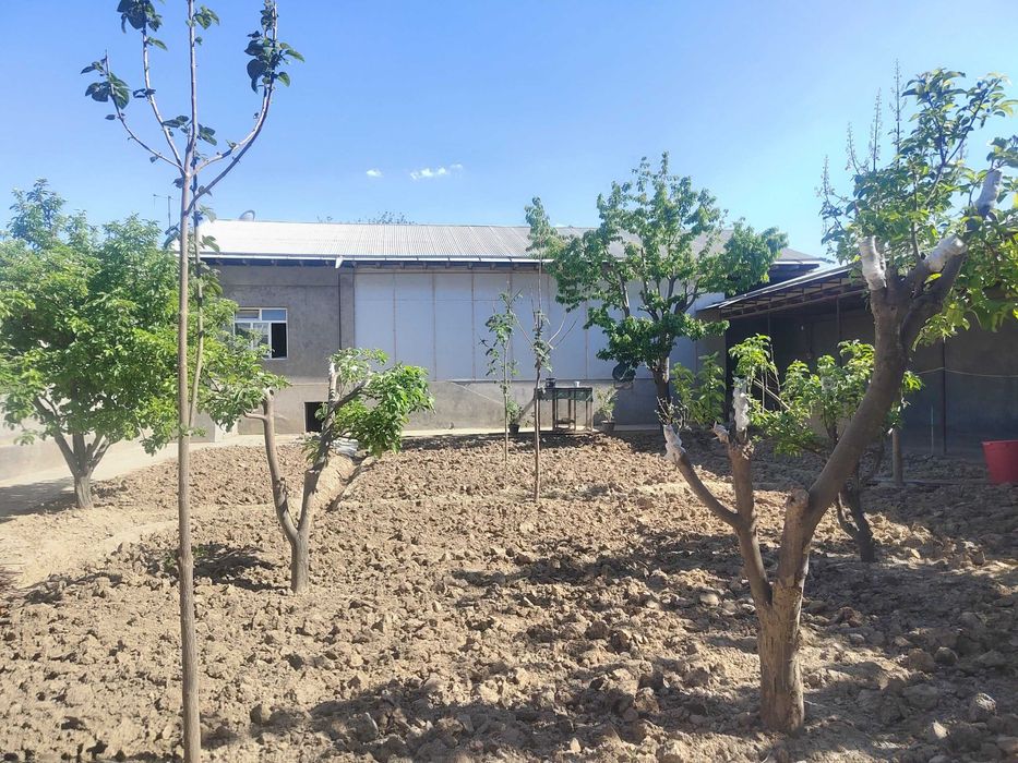 Toshkent tumanida Pabedada maxalasida 9 ta xonali  uchaska sotiladi.