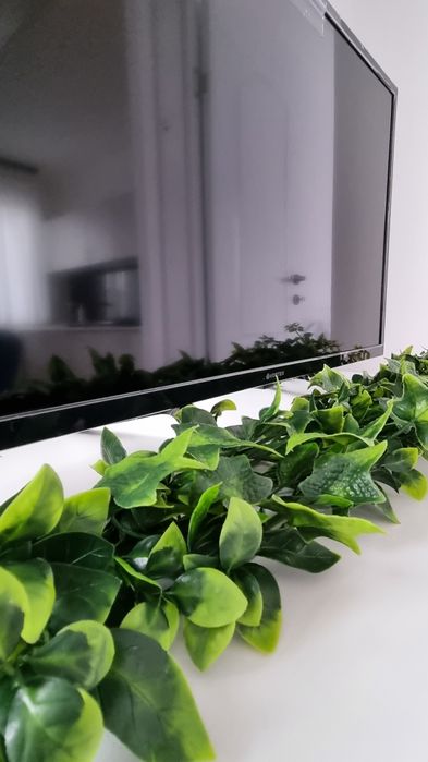 Casa, tinyhause, container, casa de vacanta, birou, casa modulara