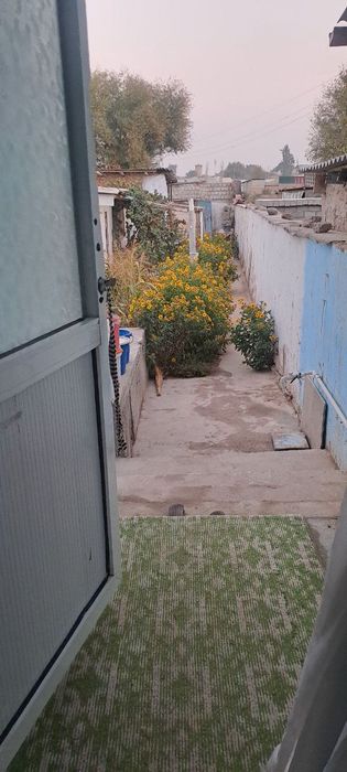 Продается дом 3 ком зангота буссув Алишер Навои махала буссув