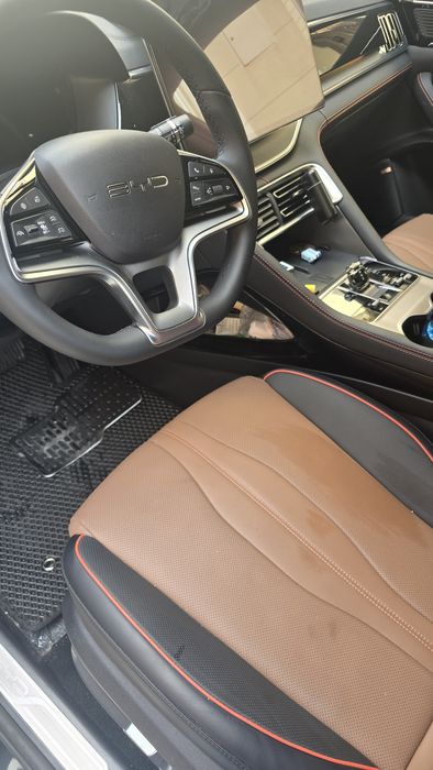 Бивайди чимпион гибрид