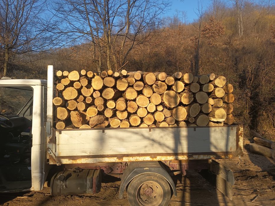 Lemne de foc , esență tare! Fag, Carpen, Stejar, Salcâm