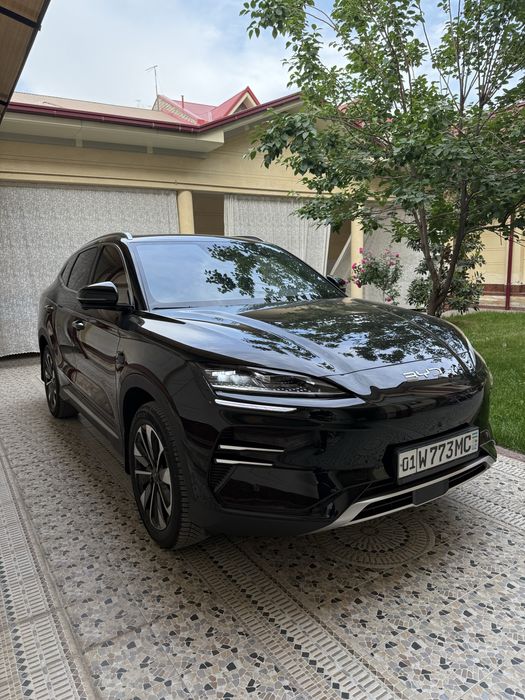 BYD Song Plus EV Champion 2025 — 7