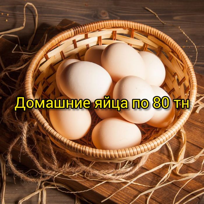 Куриные свежие яйца