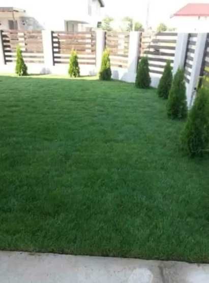 Gazonul Rulou Premium - Alegerea Perfectă pentru Grădina Ta!