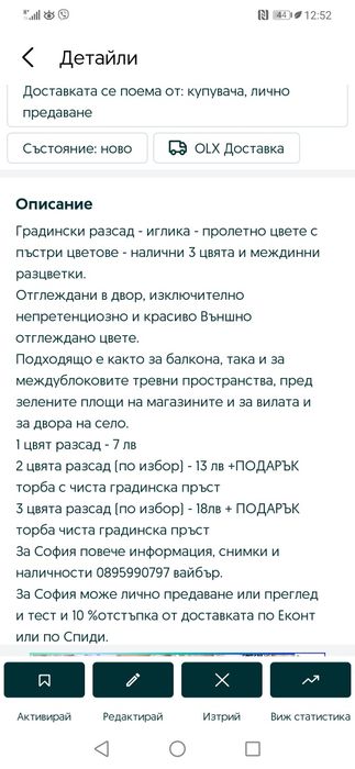 Градинска иглика в 4 цвята