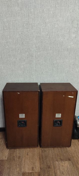 В продаже акустические системы