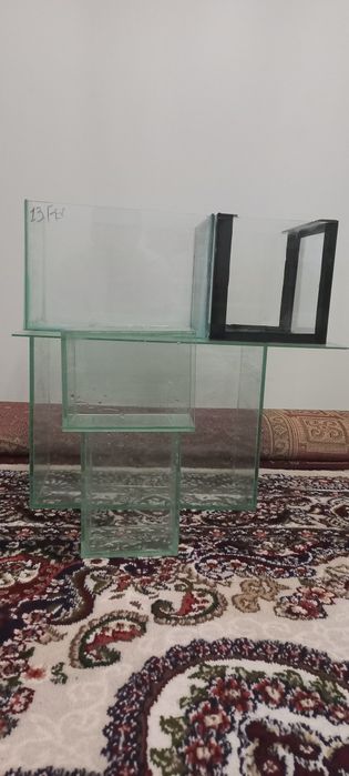 Harxil turdagi baliq akvarium bor juda arzon narxlarda