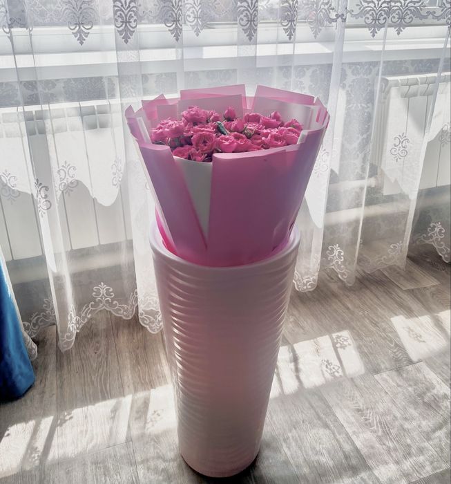 продам цветы астана свежий