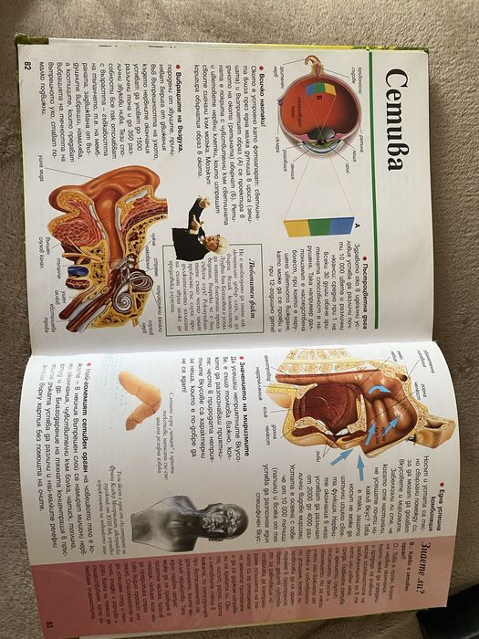 Много запазени детски енциклопедии