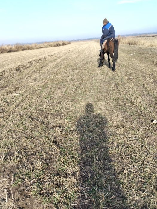 Продам землю К/Х