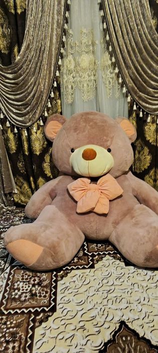 Yumshoq o'yinchoq. Ayiq