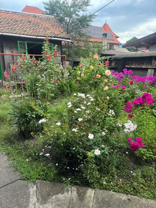 Casa de vânzare Petroșani