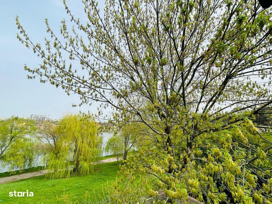 Apartament 2 camere imobil boutique-zona Tei- cu vedere la lac/parc