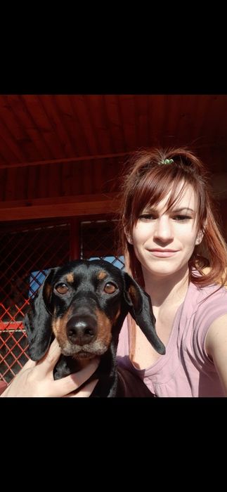Pet sitting la domiciliu & plimbări câini – București | Paw Walks & Purrfect Care