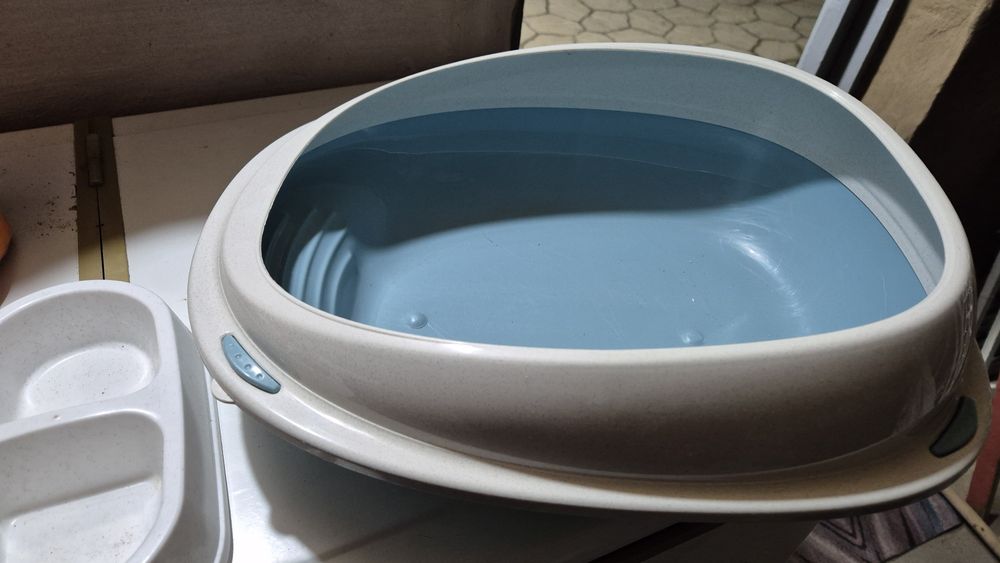 Зоотовар для милых котят