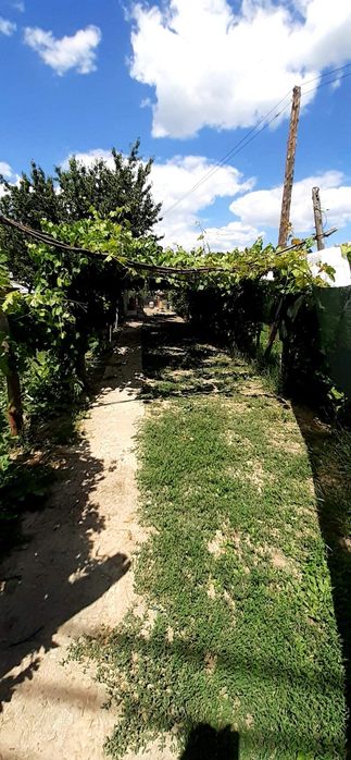 Teren intravilan centru + casa Husi