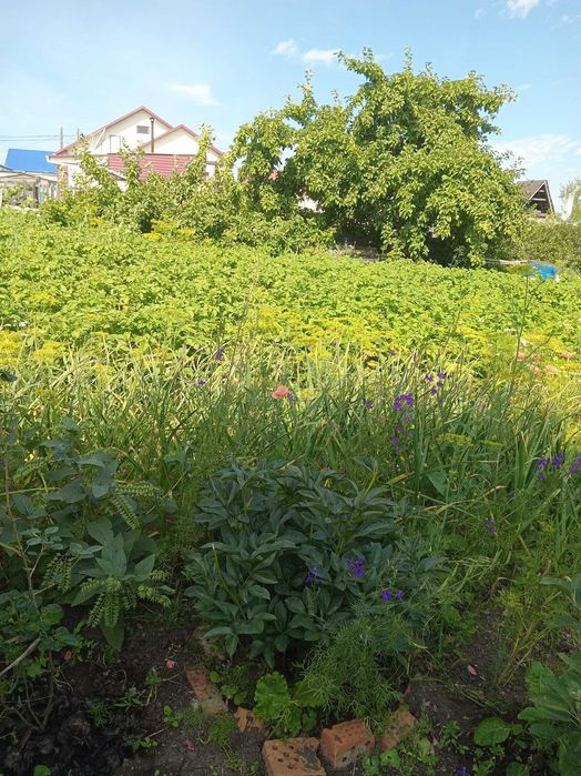 Продам частный дом