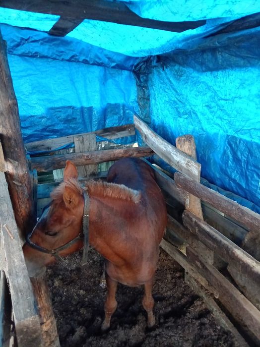Продаммм тайййййй