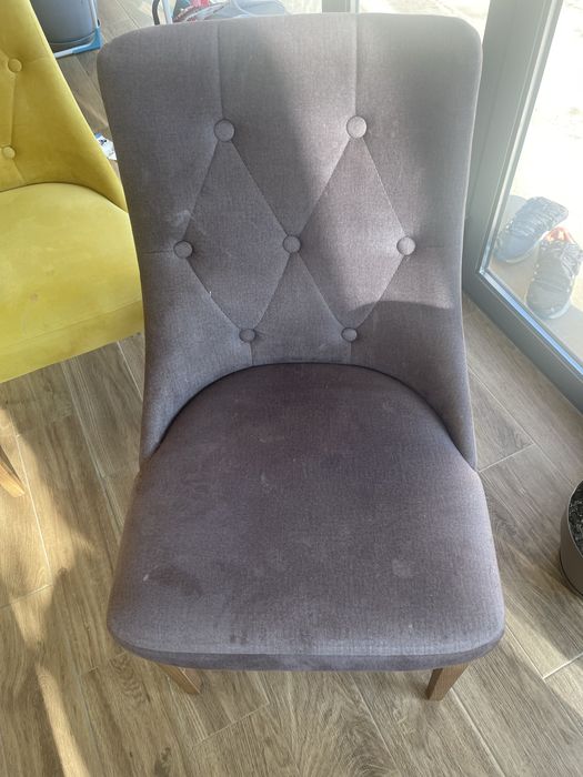 Професионално изтупване и пране с Reinbow