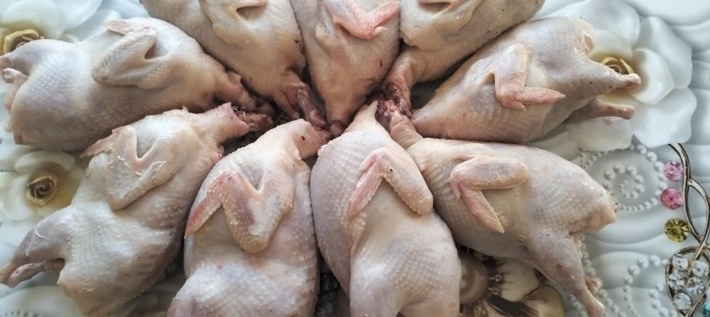 Продам мясо перепелов