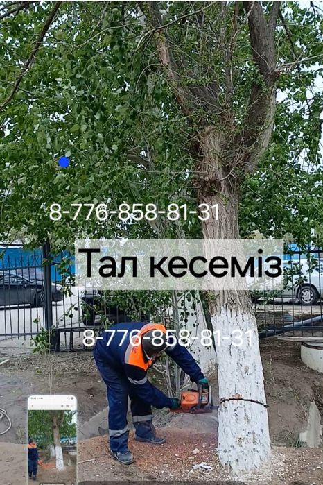 Стяжка,Резать деревья