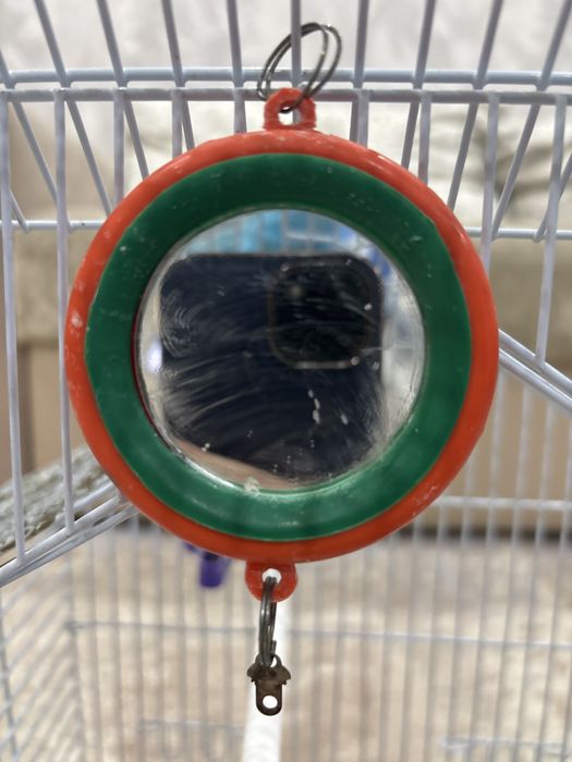 Продам клетку для попугаев.