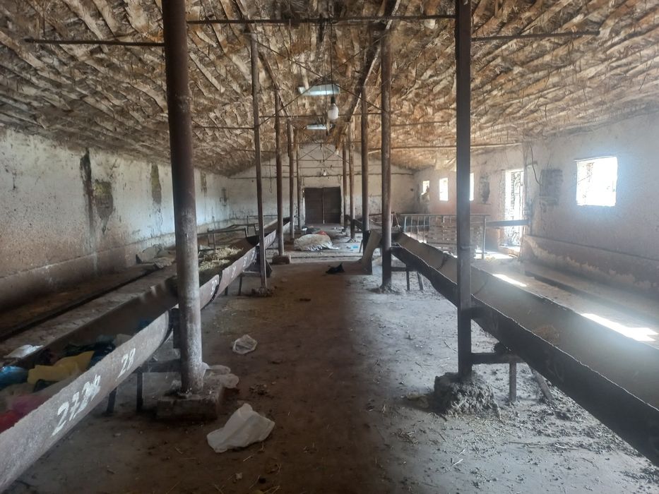 Продаётся земельный участок коммерческого назначения в Янгиёле (Ташкен