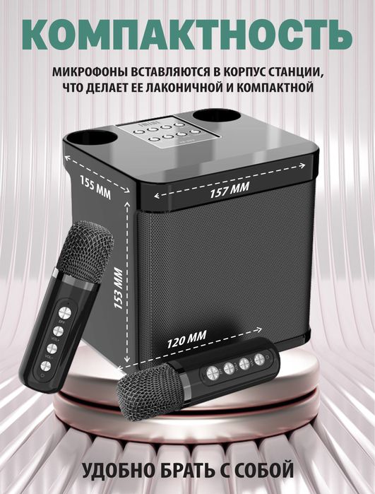 Караоке колонка с двумя микрофонами.