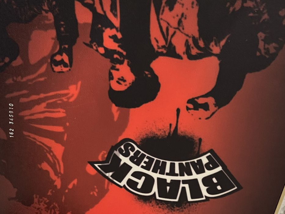 Placa snowboard 156 cm Black Planthers- serie 162 345910