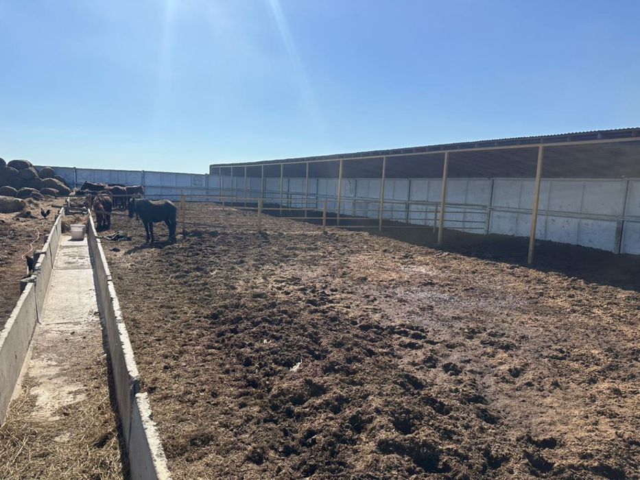 База земля 2,9 ГА дом