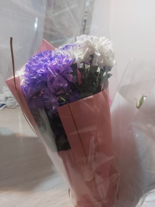 Цветы Хризантемы