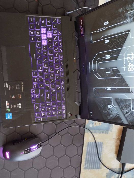 ASUS TUF GAMING F15 МИШКА 2E rgb под цветком