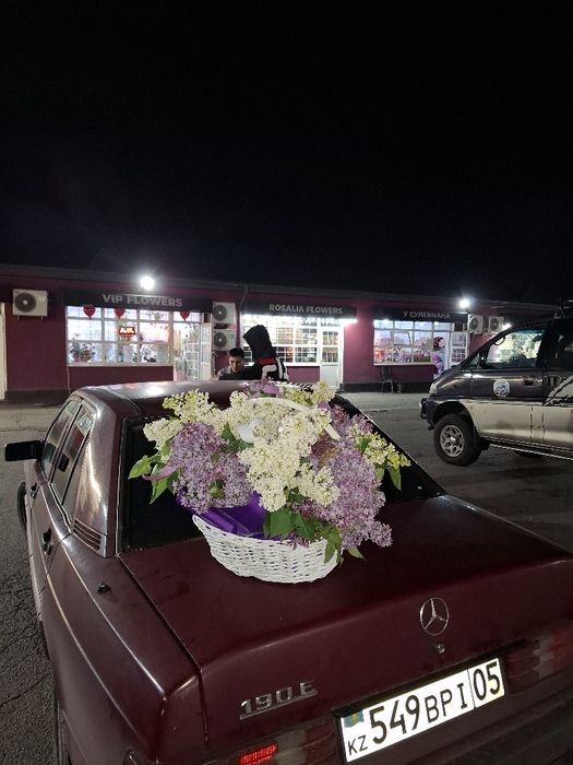 Сирены в корзине