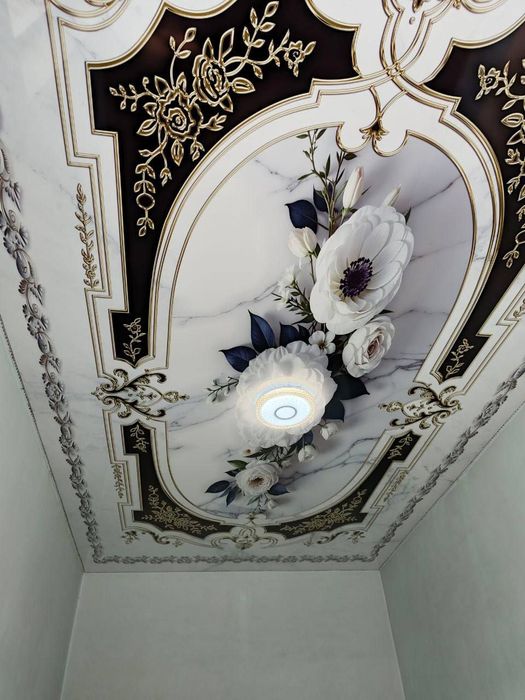 Orginal sifatli hamyonbob natajnoy patalog