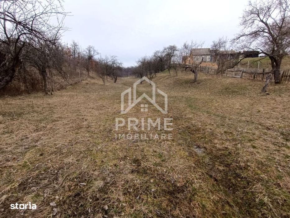 Teren intravilan 1.944 mp | Pianu de Sus | Utilitati la poarta |