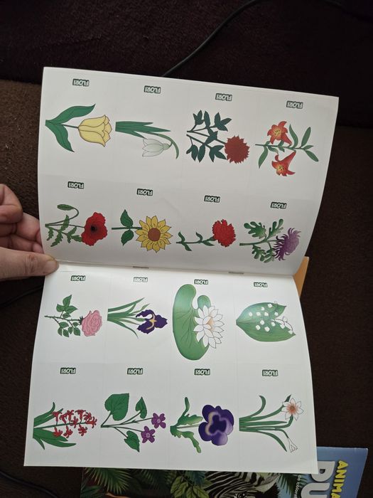 Vand carti de colorat simple si cu stickere