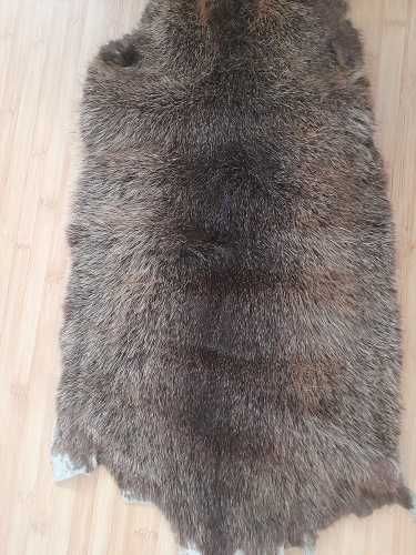 Blanita naturala sau artificiala