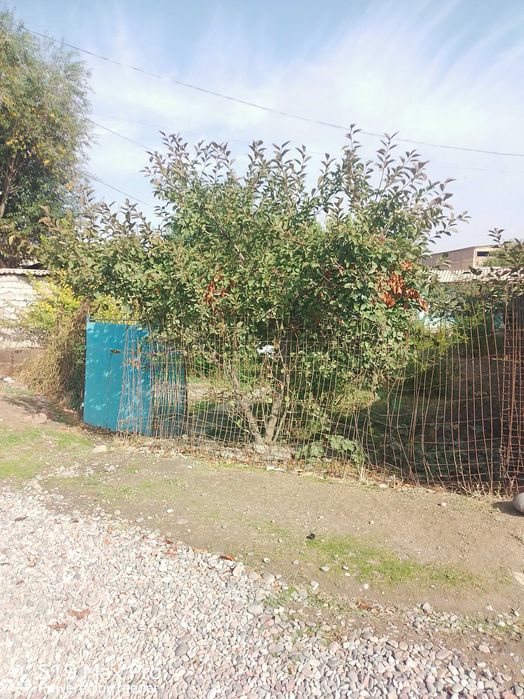 Чирчик Шахар юмолок 8 сотих 3 хона 29900$ свое без ремонт