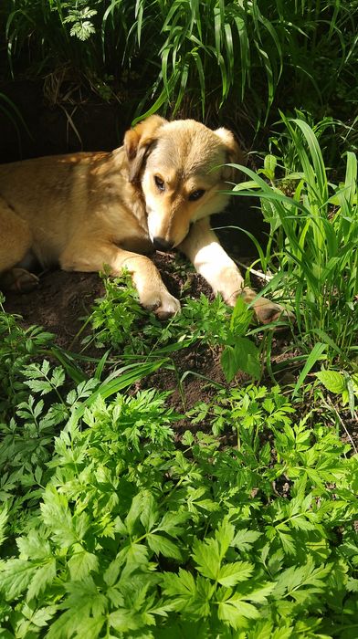 Если вам понравился именно этот мальчик
