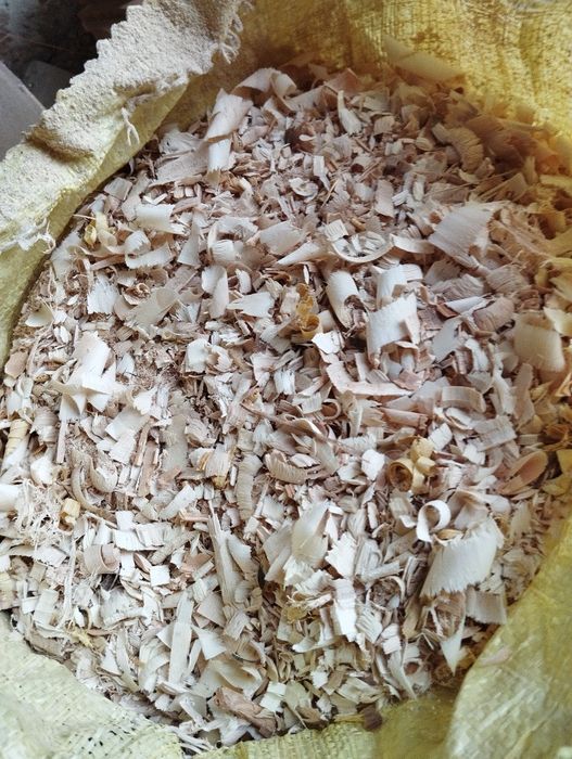 Апилка сотилади тоза утинсиз