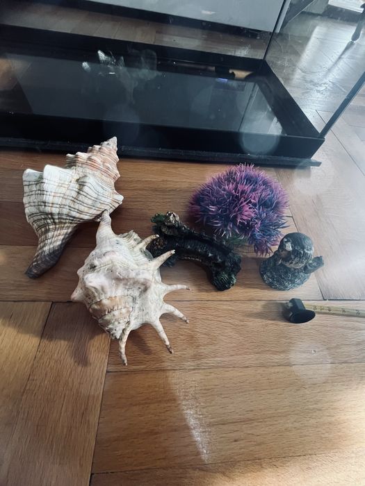 Vand acvariu Diversa 60 L