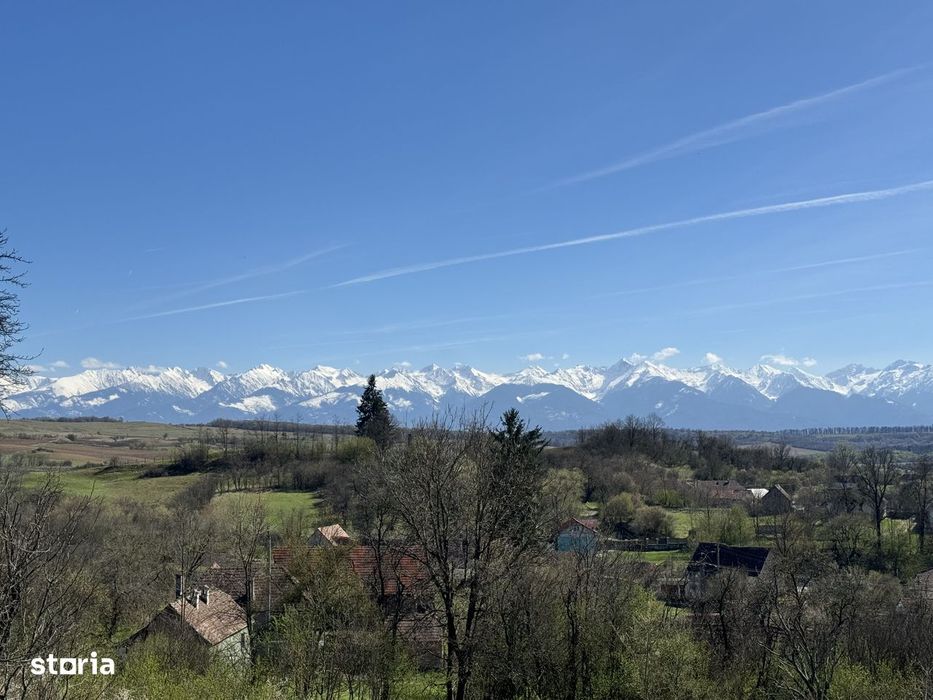 Teren intravilan de 7000 mp,