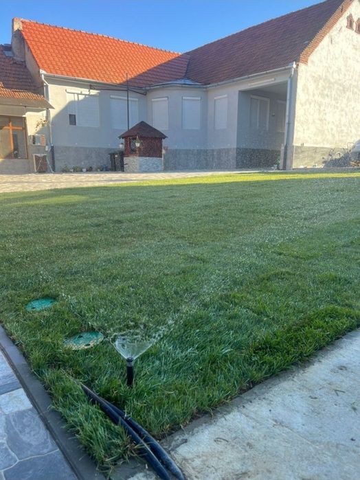 Gazon rulou la un super pret